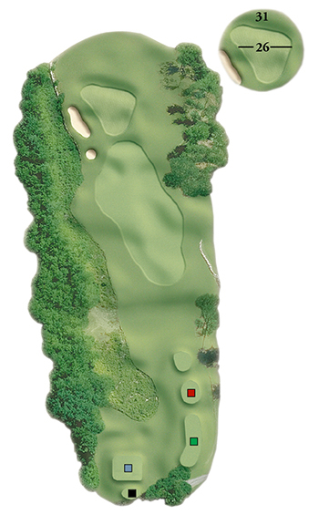 Blackstone National Golf Club – 13th Hole - Par 3 Layout